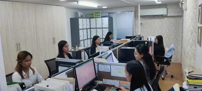 Accounting Team Working